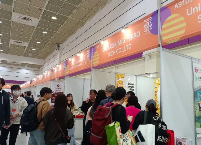 1761727531529052.png image.png